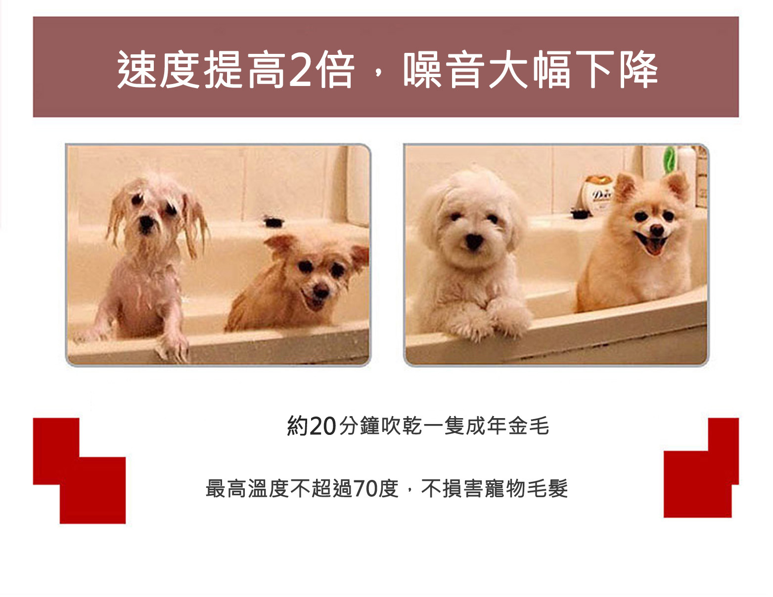 CODOS CP160 科德士寵物吹風機|狗仔吹風機- Outlet Express HK生活百貨城